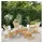 vidaXL Gartenstuhl 4 St. 4 x 4 x 4 cm beige