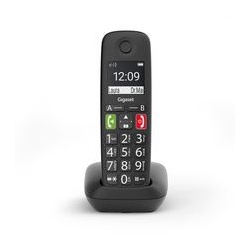 Analoges/DECT-Telefon E290