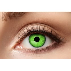 Eyecatcher Farblinsen Wochenlinsen Motivlinsen blaue und grüne Varianten grün