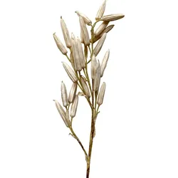 Chic Antique Künstlicher Lilien Zweig, 118 cm
