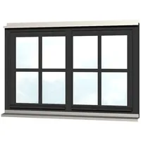 SKANHOLZ Skan Holz Doppelfenster für Carports-anthrazit