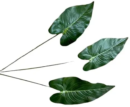 Anthurium Blatt 76cm grün
