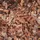 Galamio Rindenmulch Kiefer Mittel 60l x 39 Sack 2340l Palette