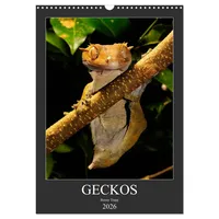 Calvendo GECKOS (Wandkalender 2026 DIN A3 hoch), CALVENDO Monatskalender: