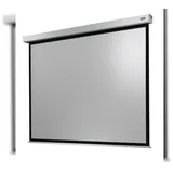 Celexon Motor Professional Plus 300x225 4:3