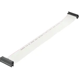 BKL Electronic 10120672 Flachbandkabel Rastermaß: 2.54mm 20 x 0.08mm2 Grau