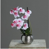 Kunstorchidee 30cm im Keramiktopf, Silber künstliche Orchidee Kunstpflanze Phalaenopsis, mucPlants