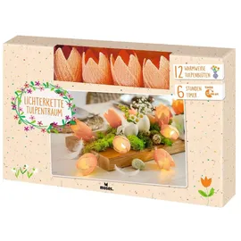 Moses Lichterkette Dekolichterkette 2 m Apricot