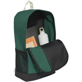 adidas LINEAR BACKPACK Collegiate Green/Ivory