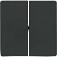 Berker Wippe anth/sa 16236086