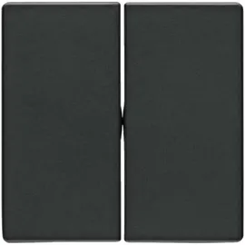 Berker Wippe anth/sa 16236086