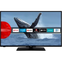 JVC LT-42VF5155 42 Zoll Fernseher / Smart TV (Full HD, HDR, Triple-Tuner, Bluetooth) - 6 Monate HD+ inklusive [2022] [Energieklasse E]