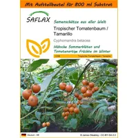 SAFLAX - Garden in the Bag - Tropischer Tomatenbaum/Tamarillo