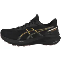 Asics GT-1000 13 GTX schwarz 39.5