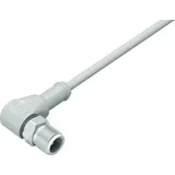 BINDER 77 0000 40405-0200 Sensor-/Aktor-Steckverbinder, konfektioniert M12 Kupplung, gerade 1