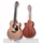 Furch Blue Gc-CM SPE a Masters Choice Cedar/Mahog.