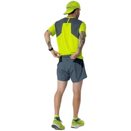 Dynafit Sky Kurze Hose Blau/Grün M