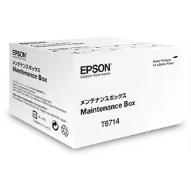 Epson C13T671400