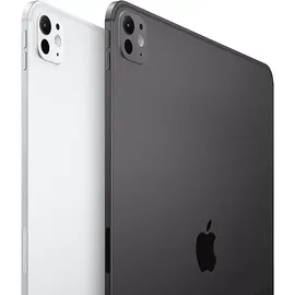 Apple iPad Pro 13" (7. Generation 2024) 2 TB Wi-Fi + Cellular space schwarz