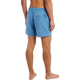 Protest Badeshorts Davey River Blue L