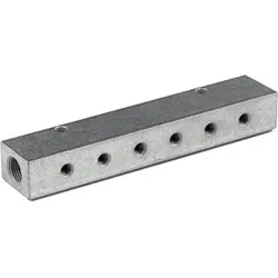 Riegler Verteilerleiste, Abgänge einseitig, Eingang 2x1/8, Ausgang 2xM5