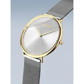 BERING Classic trendy Artikelnummer: 15739-010