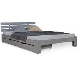 Homestyle4u Bettkasten in Grau 173x16x63 cm 2040,