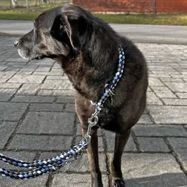 EQuest Halsband & Führleine Ultimo für Hunde im Set - Blue Boy, 45 cm