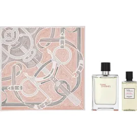 Hermès Terre Eau de Toilette 100 ml + Duschgel 80 ml Geschenkset