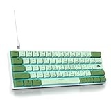 SOLIDEE mechanische gaming tastatur 60 prozent,61 Tasten kompakte mechanische tastatur RGB Hintergrundbeleuchtung,60% prozent tastatur mechanisch QWERTY,Roter Schalter für Win/Mac PC Laptop(61 Matcha)