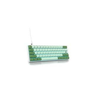 SOLIDEE mechanische gaming tastatur 60 prozent,61 Tasten kompakte mechanische tastatur RGB Hintergrundbeleuchtung,60% prozent tastatur mechanisch QWERTY,Roter Schalter für Win/Mac PC Laptop(61 Matcha)