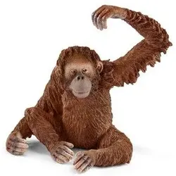 SCHLEICH 14775 Orang-Utan Weibchen