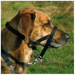 Trixie Top Trainer Ausbildungsgeschirr - max. 31 cm