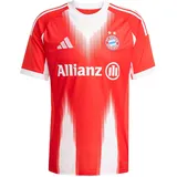 adidas FC Bayern München Heimtrikot 2025/26 Damen Gr. XXL