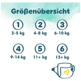 Pampers Harmonie Gr. 6 (13+ kg) 144 St.