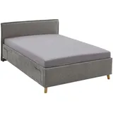 Meise Möbel meise.möbel Polsterbett Fun mit Lattenrost Stoff Grau 140 x 200 cm