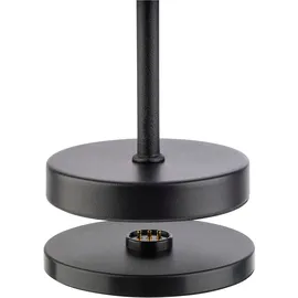 APS MERLE MICRO Schwarz