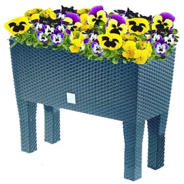 Prosperplast Rato Case High 60 x 25 x 46 cm anthrazit