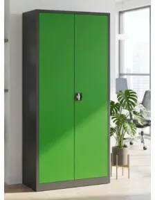 STIER Universalschrank Basic 92 x 42 cm 4 Fachböden anthrazitgrau/grün