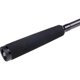 Zeck Barsch Alarm Spin H 244cm 42g