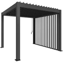 Biohort Lamellenseitenwand für Pergola 4 m 235 x 10 x 364 cm Grau