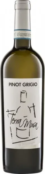 Pinot Grigio Venezia Terra Musa di Moreno Musaragno 2022 - 6Fl. á 0.75l BIO