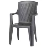 PROGARDEN Eden Stapelstuhl 58 x 48,0 x 92,0 cm anthrazit