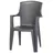 PROGARDEN Eden Stapelstuhl 58 x 48,0 x 92,0 cm anthrazit
