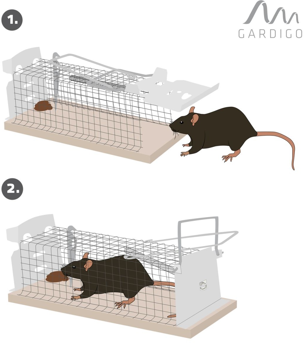 Gardigo Ratten-Lebendfalle Käfig