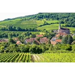 Fototapete PAPERMOON "Dorf in Landschaft", bunt, B:5,00m L:2,80m, Vlies, Tapeten