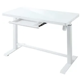Livetastic Schreibtisch Levu weiß