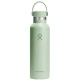 Hydro Flask Standard Mouth Aloe 0,62 l