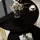lookway LORI Schwarz Metall 70 x 49 x 50 cm