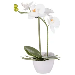 Kunstpflanze Orchidee II Grün